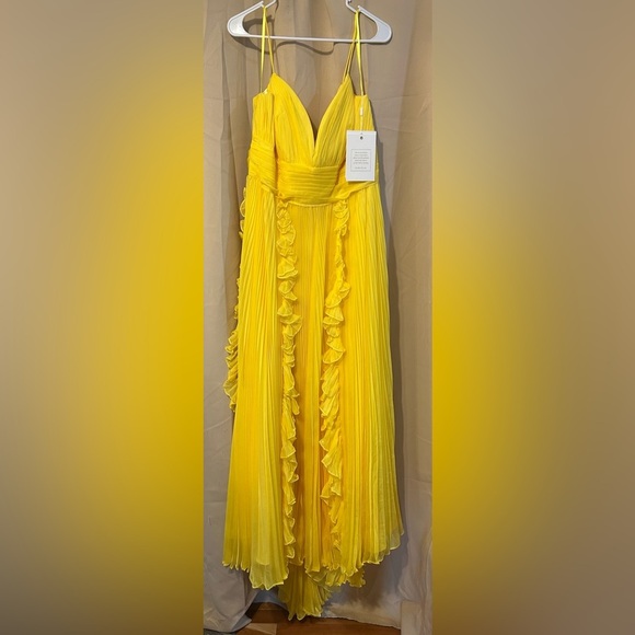 Mac Duggal 70172 NWT Pleated Sleeveless Flowy Chiffon Gown - Picture 4 of 6